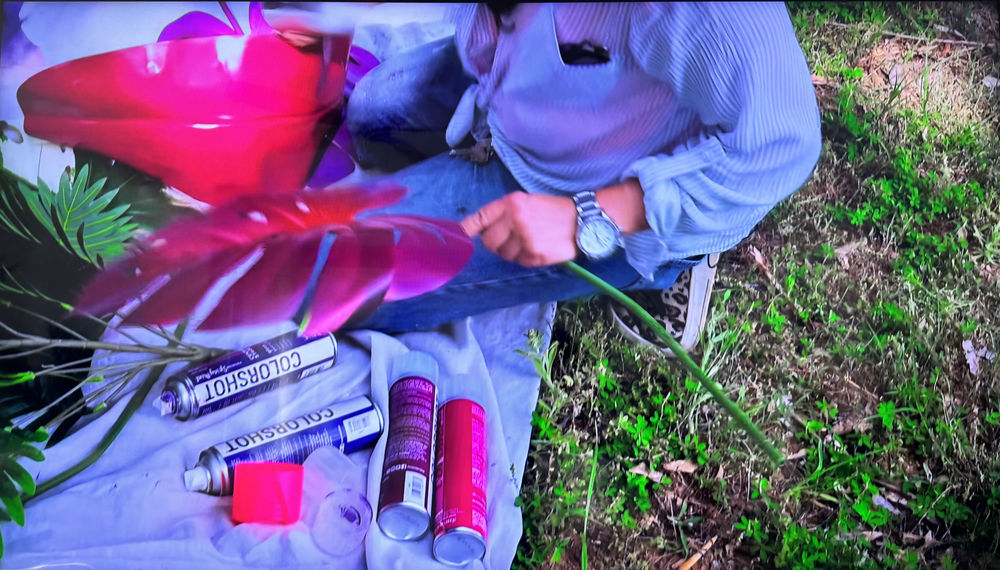 COLORSHOT Makes a Splash on HGTV’s “Lil Jon Wants To Do What”